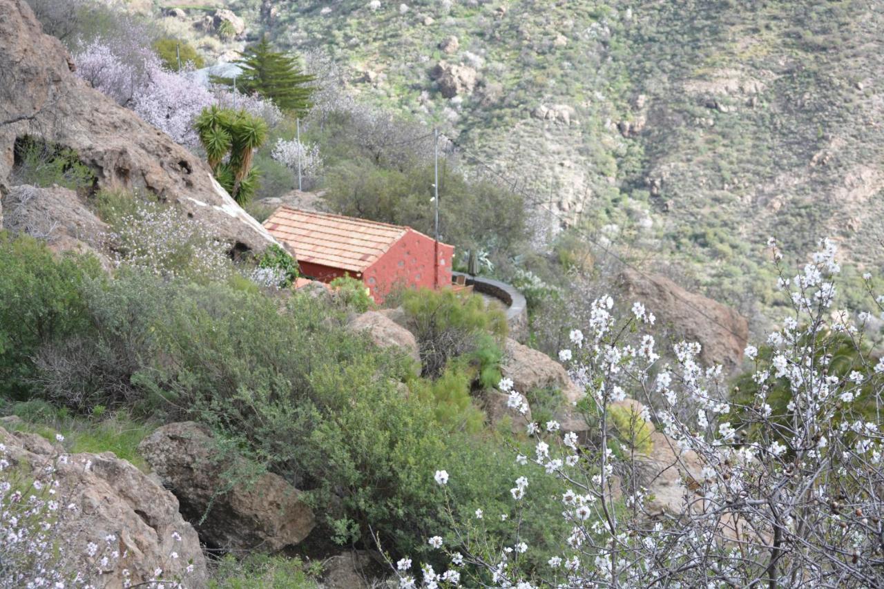 Villa Casa Cueva El Pedregal Tejeda Exterior foto